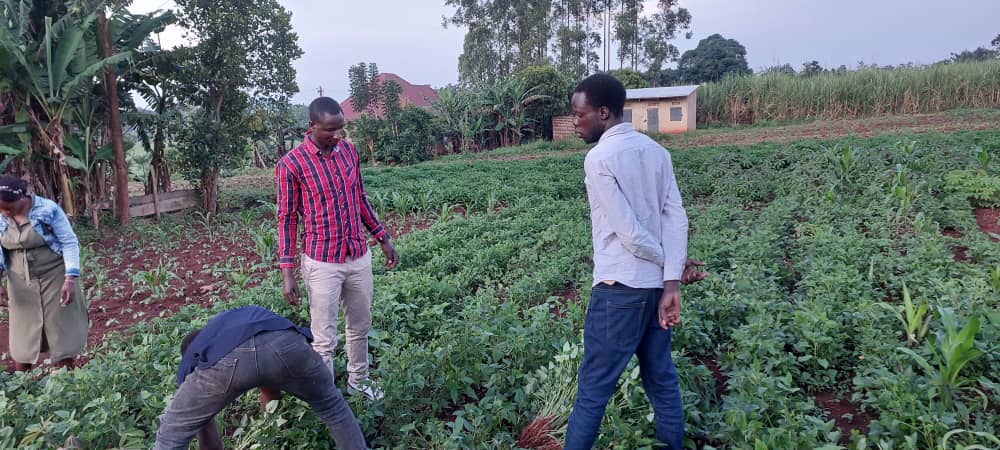 Tumaini food security